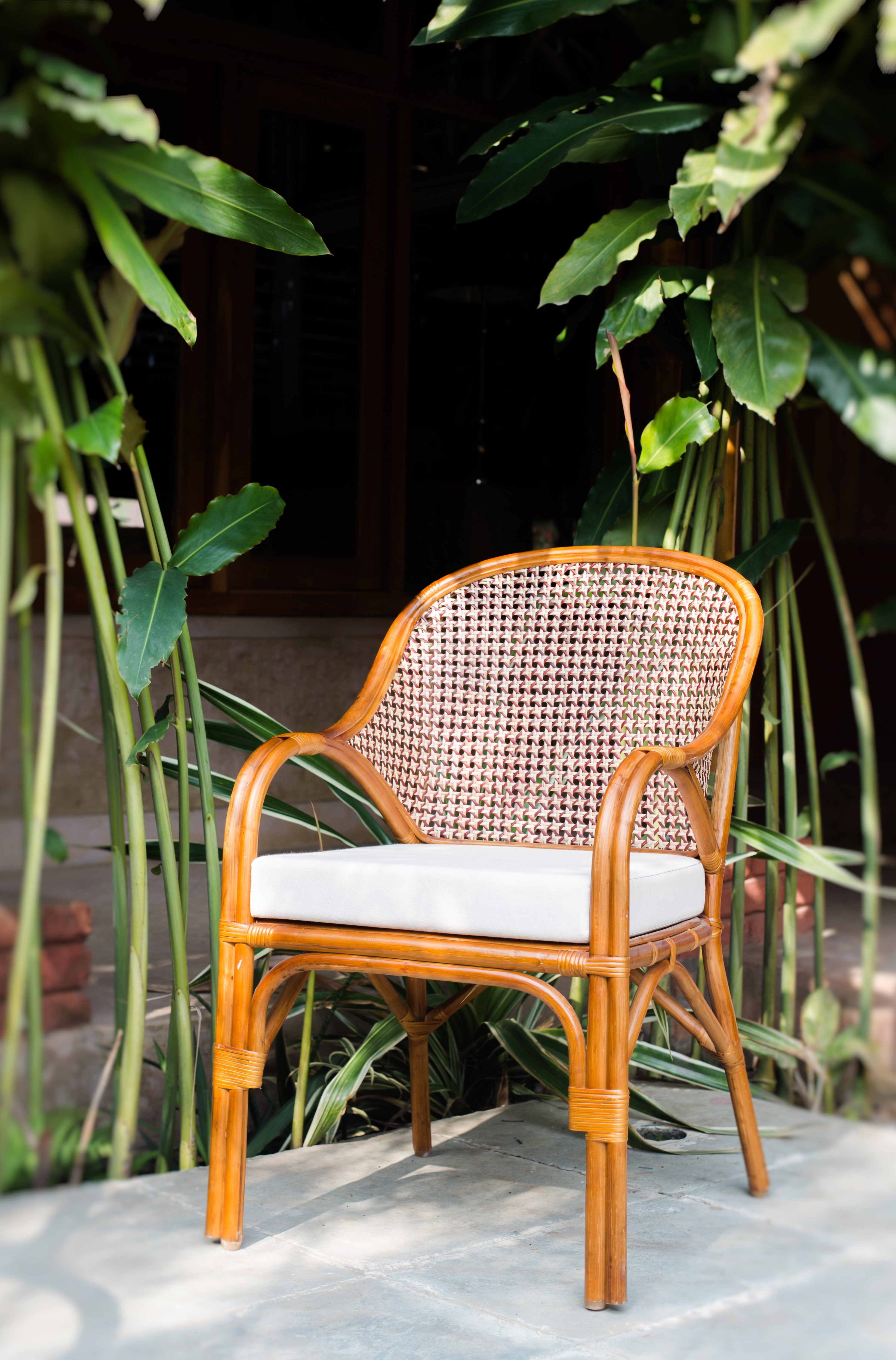 Starry Study/Dining Chair