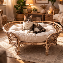 Load image into Gallery viewer, Rattan Pet Bed
