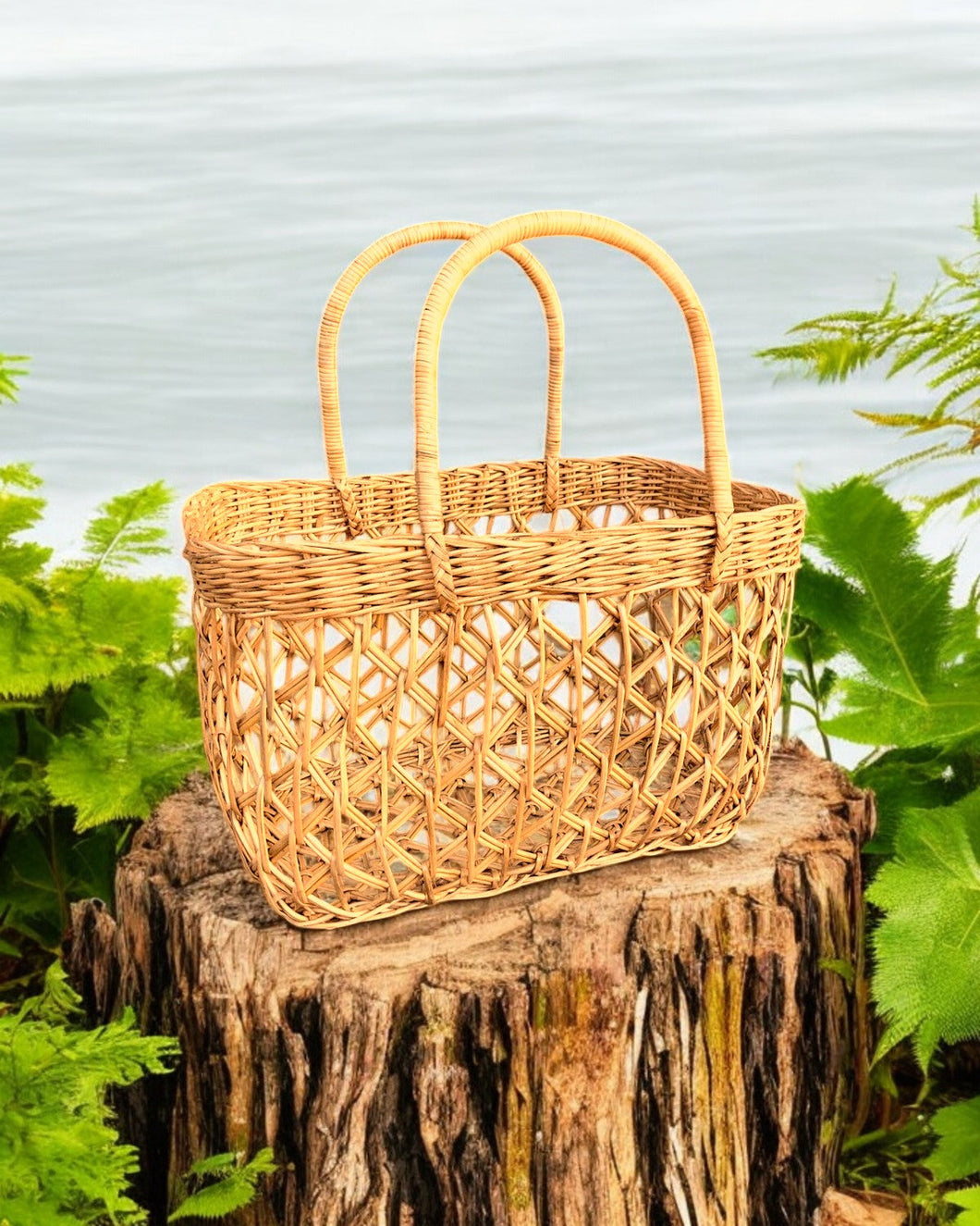 Cane Basket | Benreu