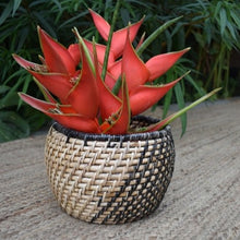 Load image into Gallery viewer, Cane Planter | Wabi Sabi Black
