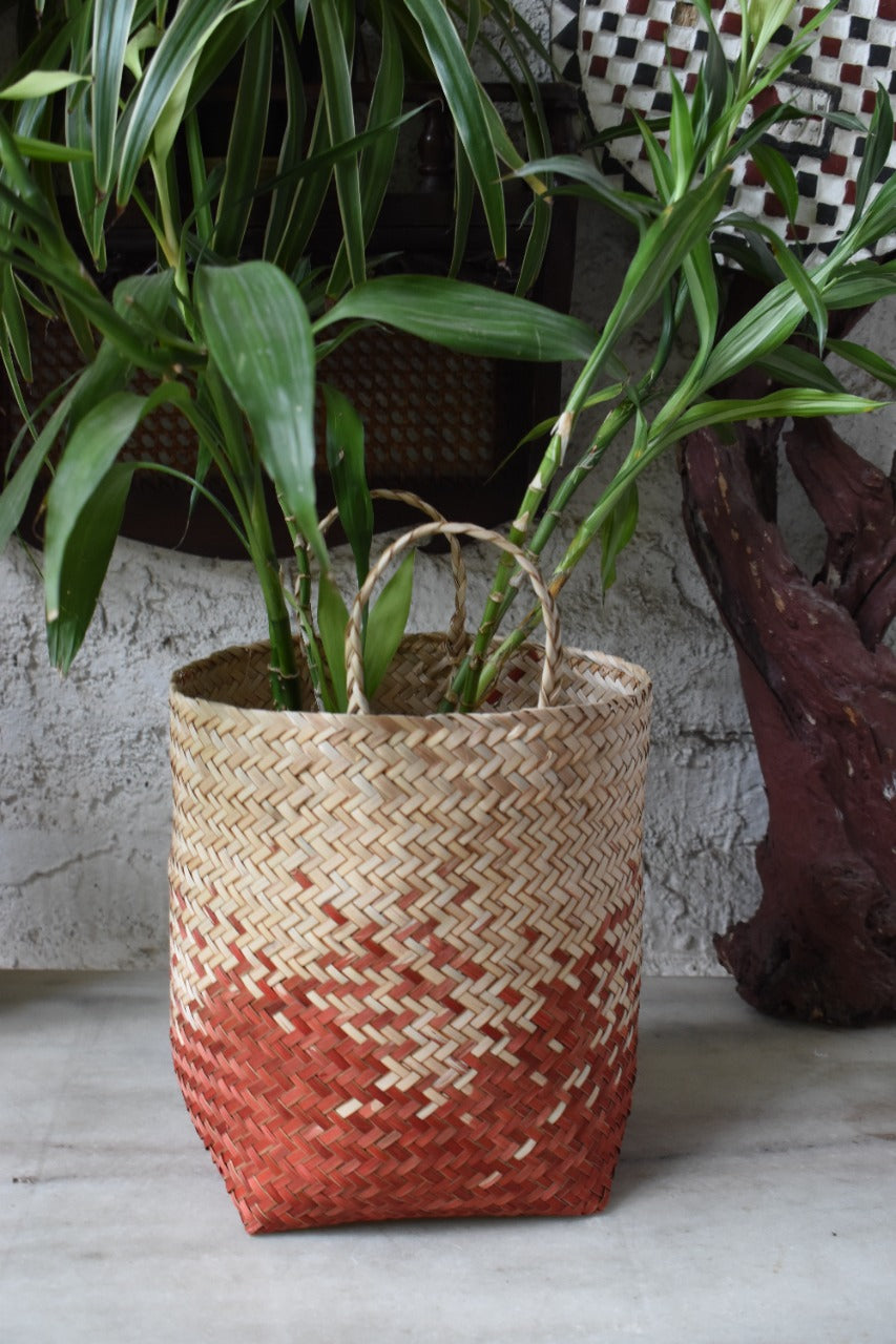 Natural Planters & Storage baskets – Cane Concept