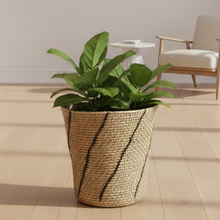Load image into Gallery viewer, Cane Planter | Natural &amp; Black Slants
